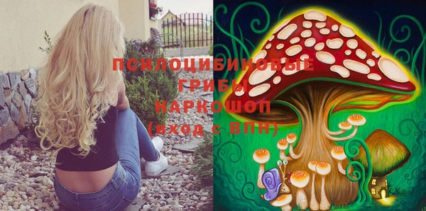 прущая мука Абаза