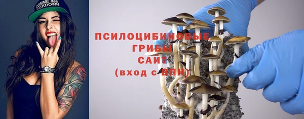 прущая мука Абаза