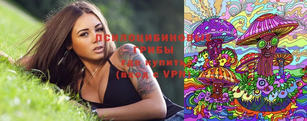 прущая мука Абаза